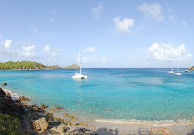 St.Barth_colombier_0