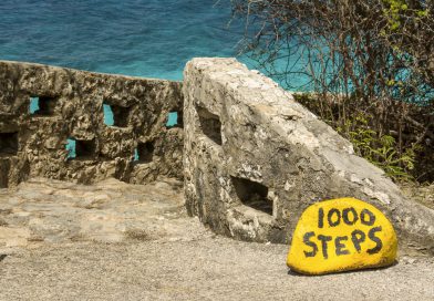 Bonaire_1000_Steps