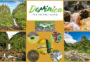 Naturinsel Dominica – die Trafalgar Wasserfälle