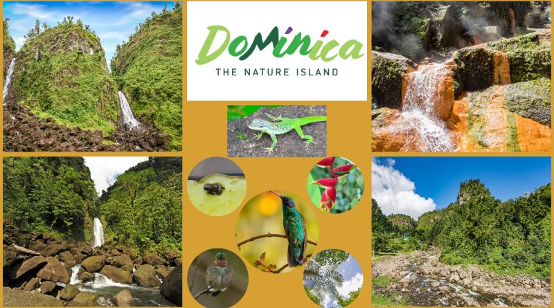 Naturinsel Dominica – die Trafalgar Wasserfälle