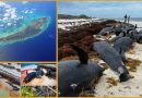 Anegada – mindestens 40 Wale gestrandet