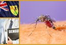Turks & Caicos verzeichnen ersten Dengue-Fieber Ausbruch