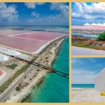 Bonaire und seine einzigartigen Salztümpel 