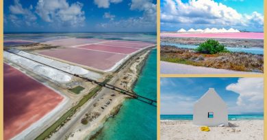 Bonaire und seine einzigartigen Salztümpel 