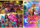St. Lucia Jazz & Arts Festival im Mai und Karneval im Juli